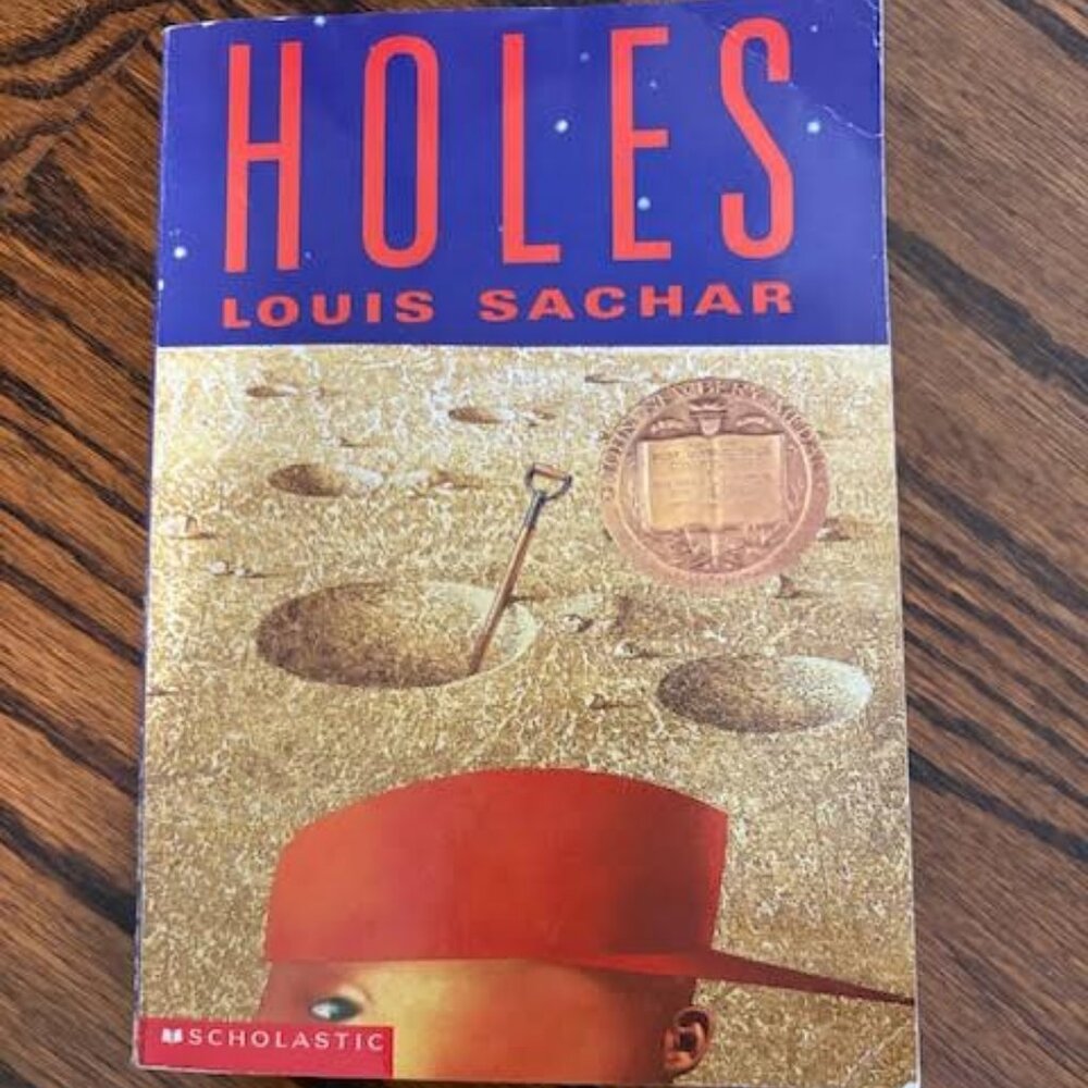 Middle Grade Book Bundle – Holes, Big Nate, Slime & Dog Diaries.